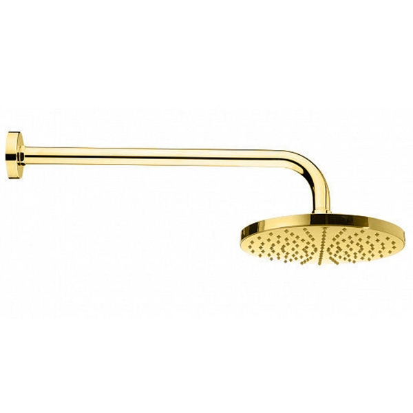 Webert AC0013010METAL Верхний душ с кронштейном, стальной, 200 мм, цвет золото