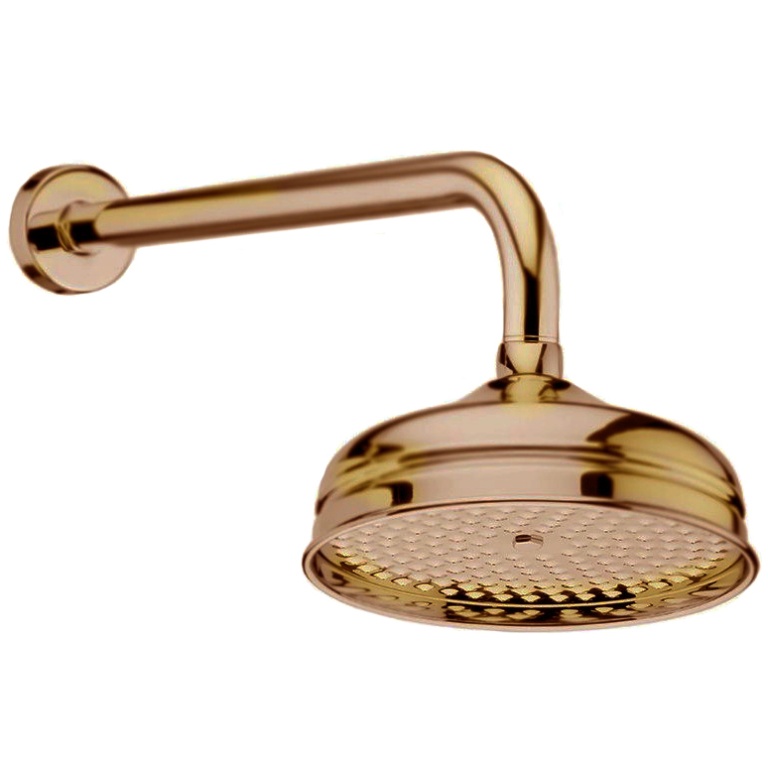 Webert AC0014065 Верхний душ с кронштейном, латунный, 200 мм, цвет бронза