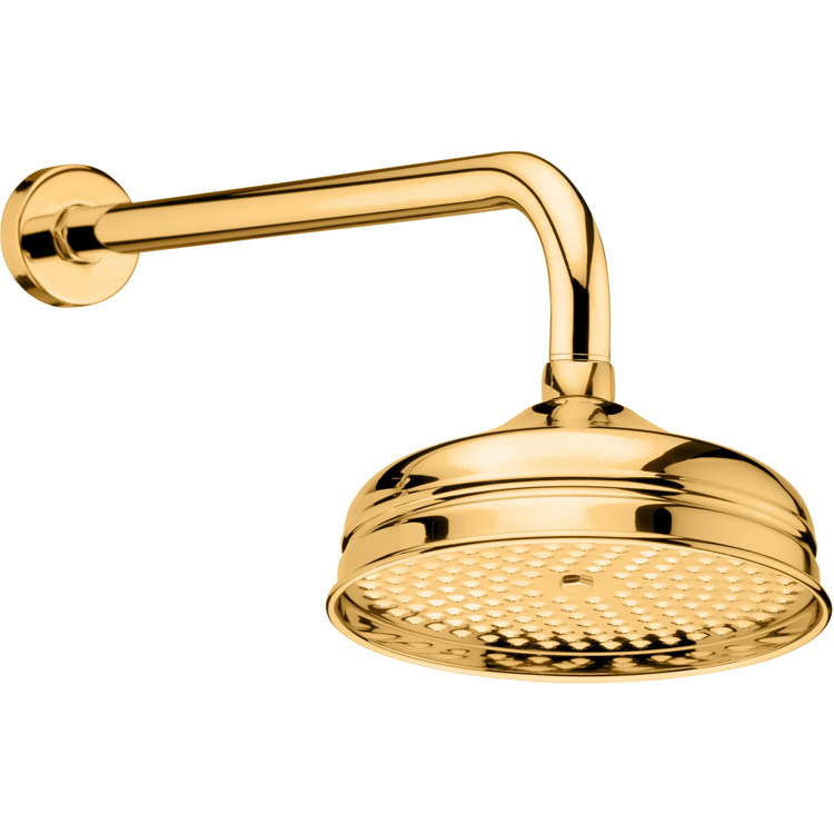 Webert AC0014010 Верхний душ с кронштейном, латунный, 200 мм, цвет золото